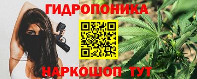 СК Кимры