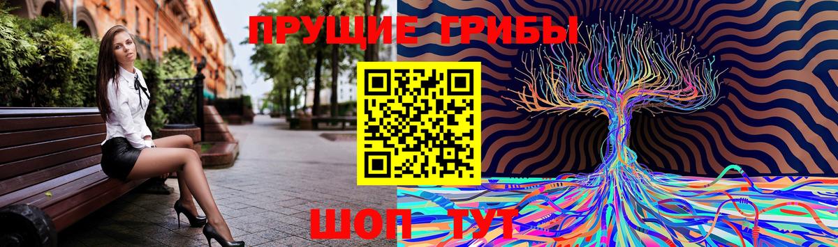 Галлюциногенные грибы GOLDEN TEACHER Касимов